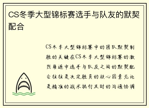 CS冬季大型锦标赛选手与队友的默契配合