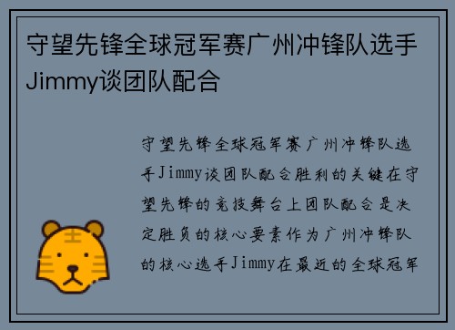 守望先锋全球冠军赛广州冲锋队选手Jimmy谈团队配合