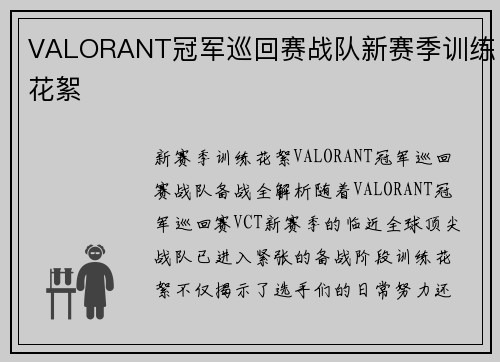 VALORANT冠军巡回赛战队新赛季训练花絮
