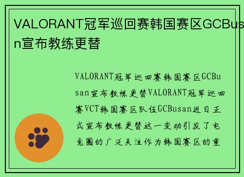 VALORANT冠军巡回赛韩国赛区GCBusan宣布教练更替